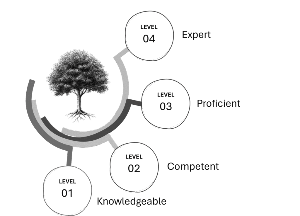 Proficiency Levels image